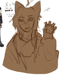 @therealtwilightsparkle/dc